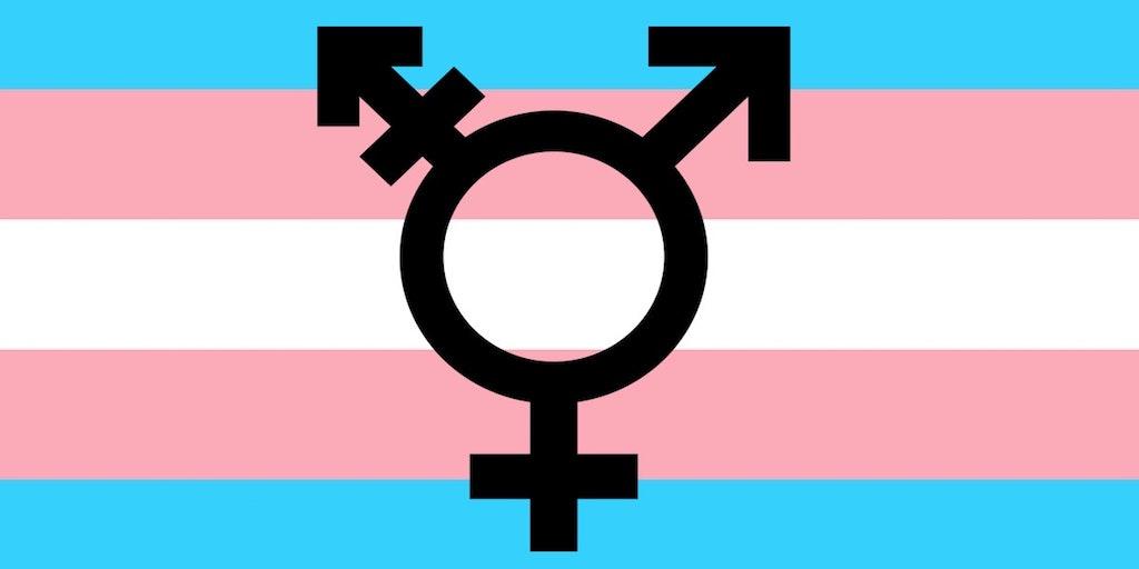 International Transseksuelle Dag – (trans/shemale/ladyboy) Pornofilm