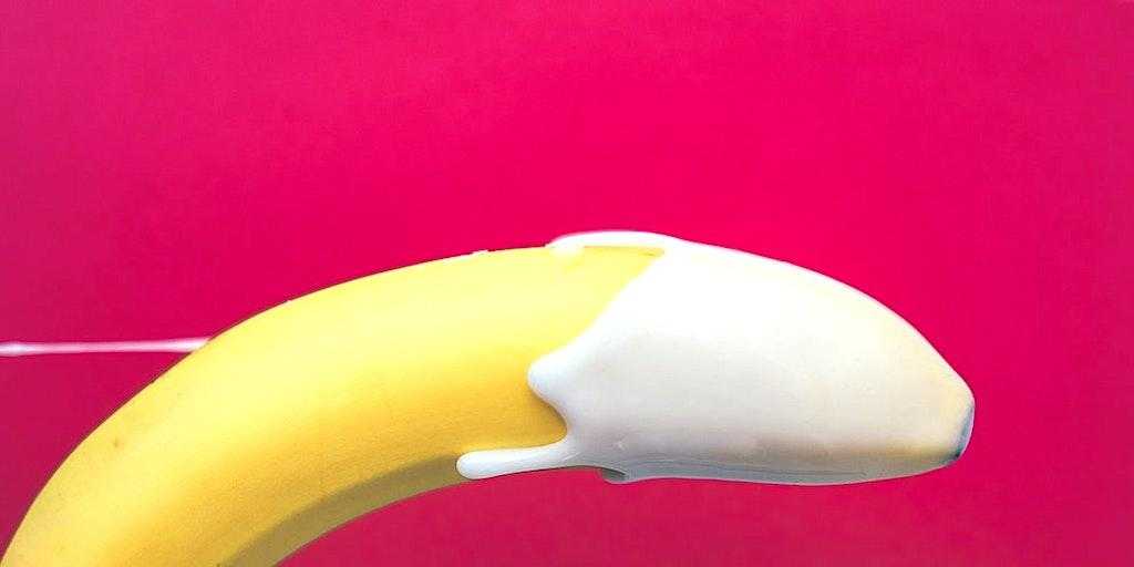 Finurlige fakta om mandens bedste ven – PENISSEN!