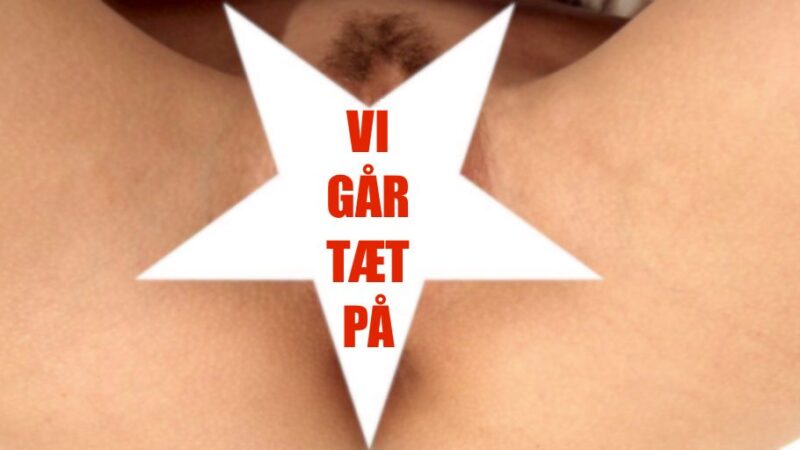 kvindelig anatomi – Visuel video undersøgelse af vulva