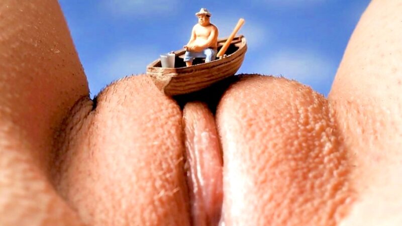 The Art Of The Pussy (Kusse-kunst)