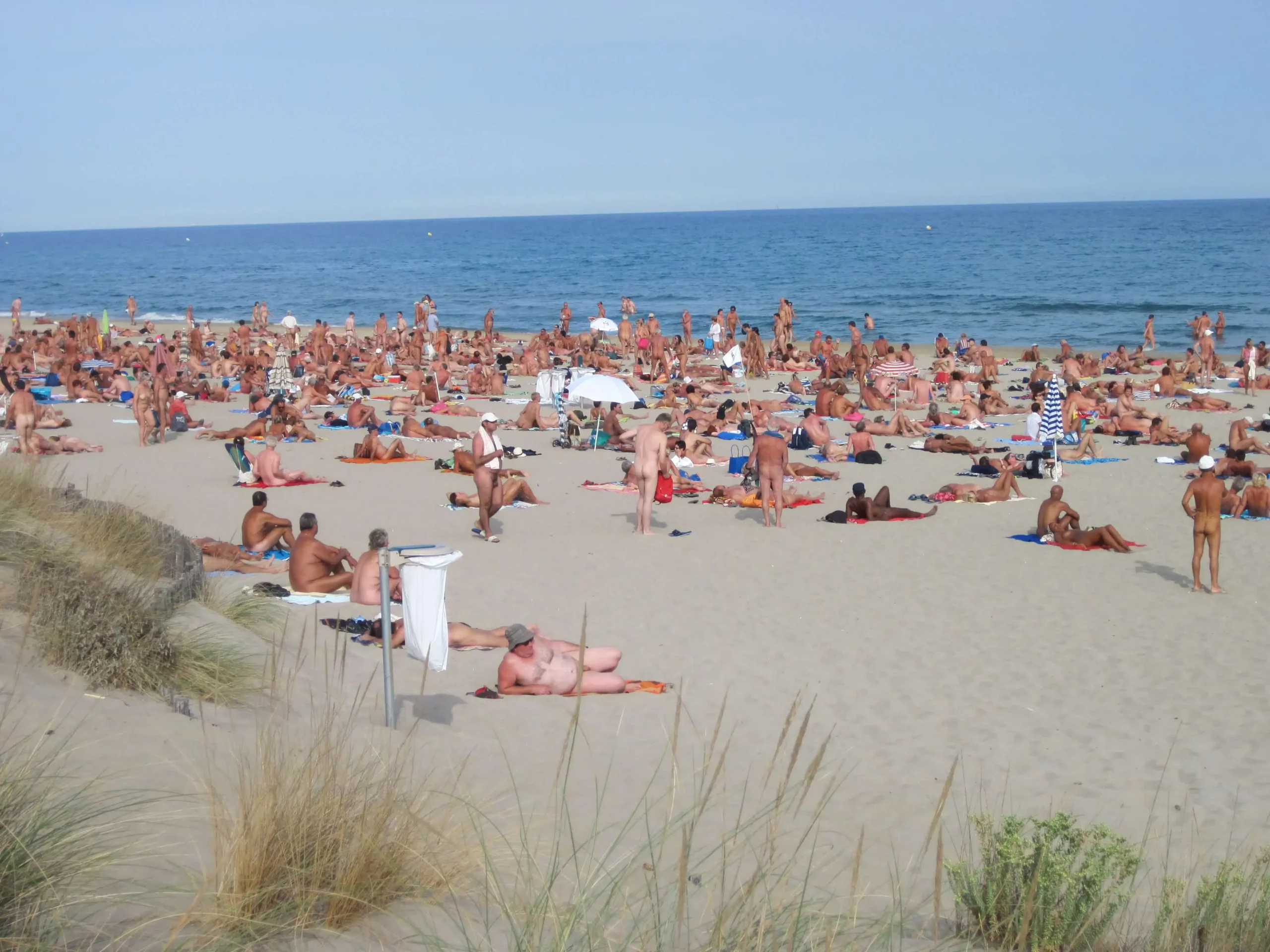det viser sig, at naturister hader swingere, fordi swingerne er omvandrende modargumenter til naturisternes traditionelle påstand om, at nøgenhed ikke fører til bunkepul og utroskab.