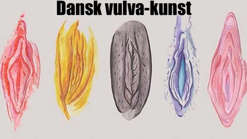 Tre danske kunstnere hylder Vulvaen (Fissen)