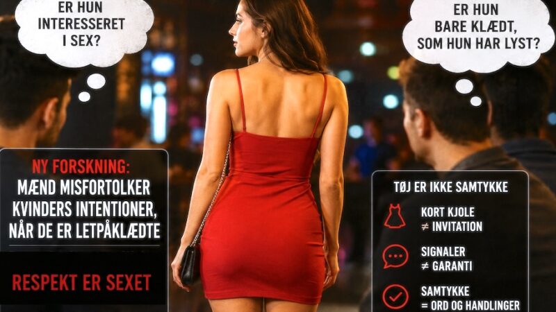 Ny forskning: Mænd misforstår flirt/invitation/sex